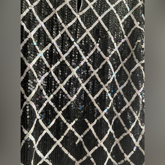 Beautiful Elegant SequinS Plus Size  Pullover Tunic Blouse Top - Picture 5 of 12